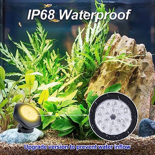 Solar Pond Lights (3-Lights-Warm White)