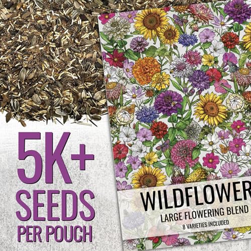 Garden Flower Seeds Large Blooms Mix 1 Ounce Heirloom Bulk Pack