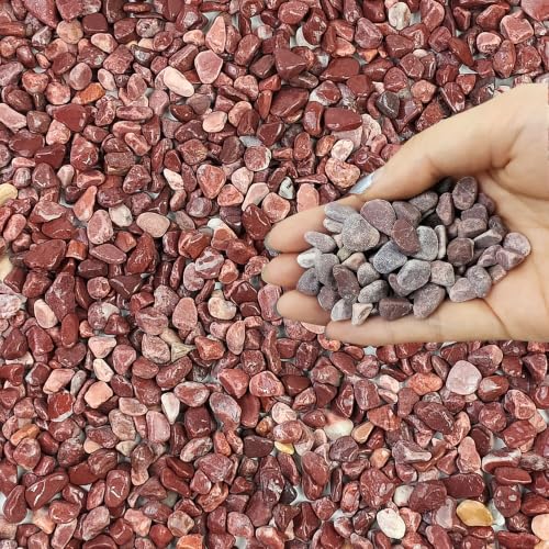 2 lbs Succulent Cactus Rocks (32 Ounce)