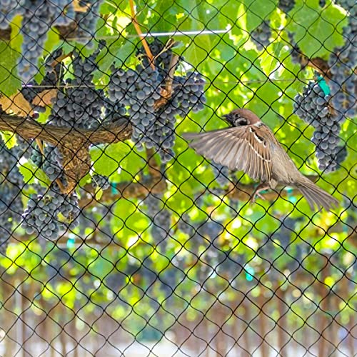 25' x 25' Bird Netting Heavy Duty Nylon 3 (625 Sq Ft)