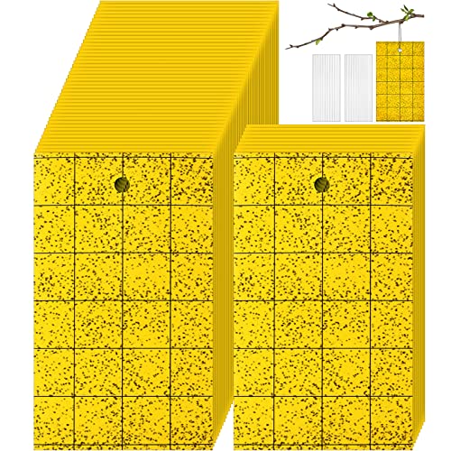 200 Sticky Trap for Gnats 3 x 5'' Dual Side Sticky Fruit Fly Trap with Tie Plant for Flying Insect Fungus Bugs Flying Catcher for Indoor (200 Count)