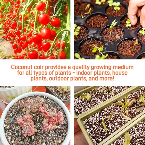 Coco Coir Brick for Plants (27Pack)