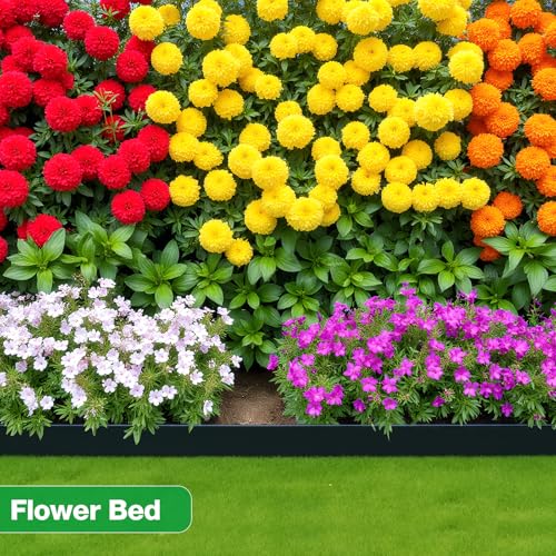 Garden Edging Border (black / 2 Inch x 66FT)