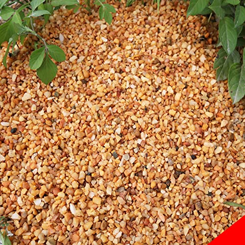 18lb Cactus Pea Gravel Rocks (18LB / Mixed Colorful)