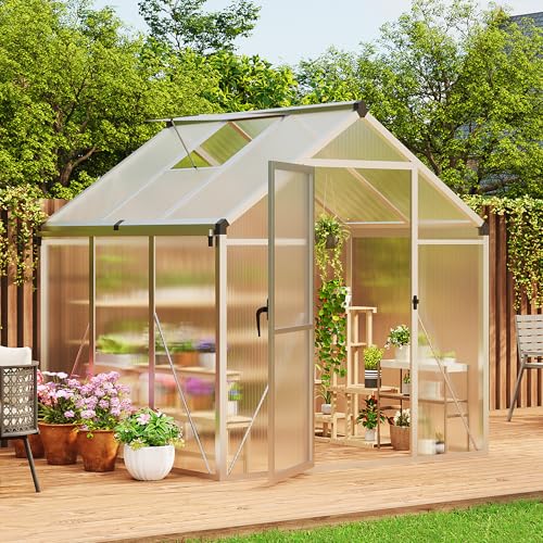 6 x 6 FT Greenhouse (Silver / 6x6FT)