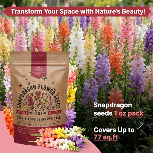Snapdragon Flower Seeds Pack 1 oz