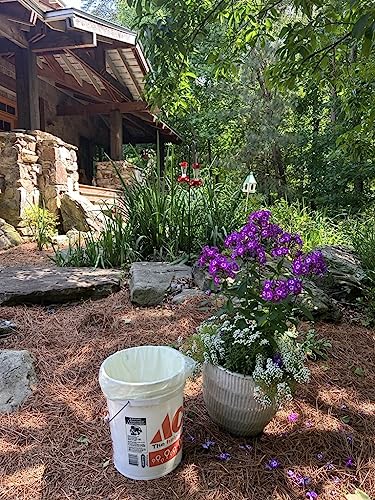6 8 Gallon Compostable Trash Bags by BioBag (6-8 Gallon)