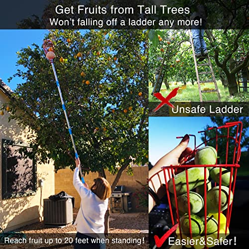 Fruit Picker Pole Tool with Basket Long Handle
