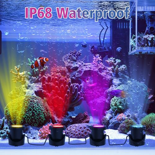 Color Changing Pond Lights (4-IN-1-BT)