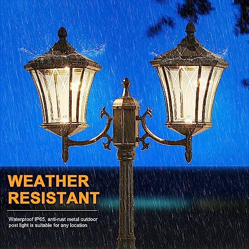 2 Head Outdoor Solar Lamp Post Lights with Waterproof (Xxl-2-s)