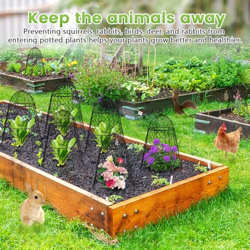 8 Pcs Garden Cloches for Plants