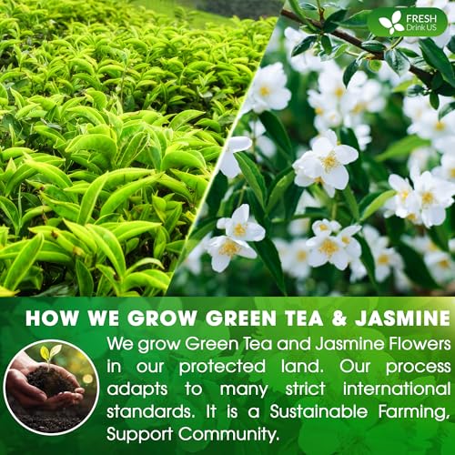 Premium 135 Jasmine Green Tea Bags (135 Tea Bags)