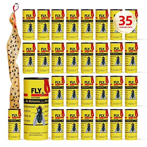 Fly Traps for Indoors Outdoor (Fly Strips)