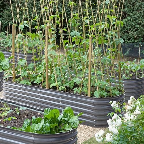 8ftx2ftx1.4ft Raised Garden Bed Outdoor for Vegetables