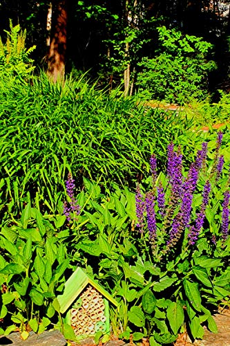 Mason Bee Houses and Supplies (Forest Green)