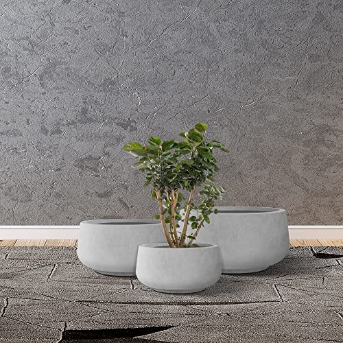 Set of 3 Pale Gray Concrete Curved Planters 21.6" 16.9" 12.5" Dia (Natural Concrete / 21.6",16.9",and 12.5" Dia)