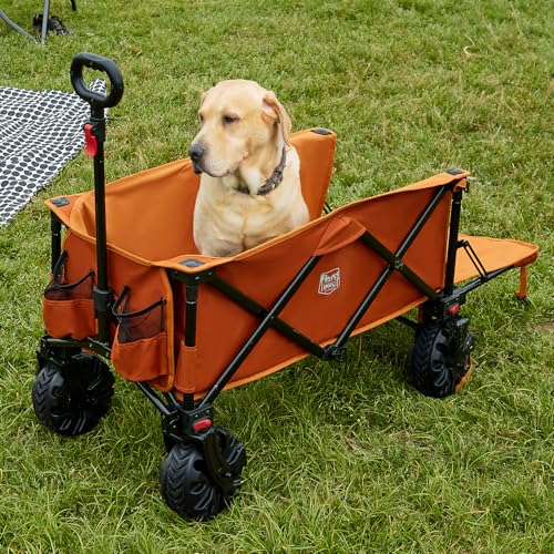 Heavy Duty Beach Wagon with Tailgate (Orange / 250L)