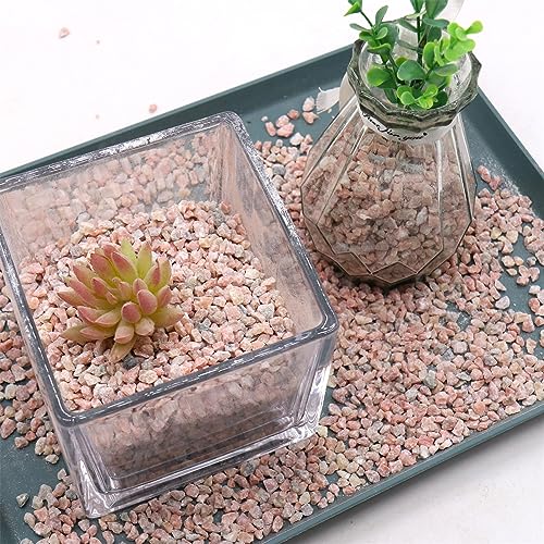 Pink Coarse Sand for Plants (X-Mini (0.125 Inch) / COARSE SAND - PINK CRYSTAL)