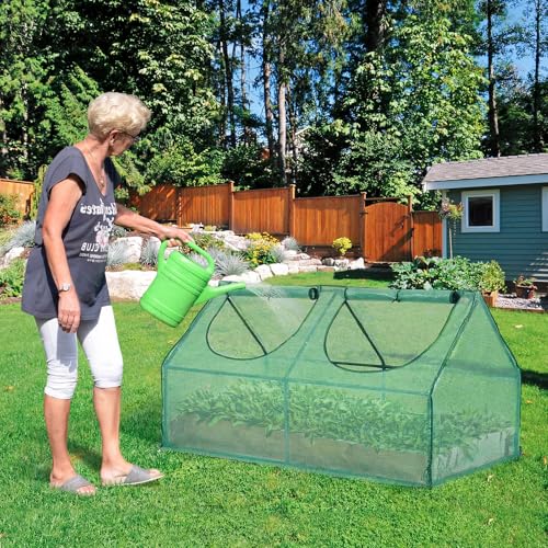 6x3x3 FT Mini Greenhouse with Roll (Green / 6x3x3 FT)