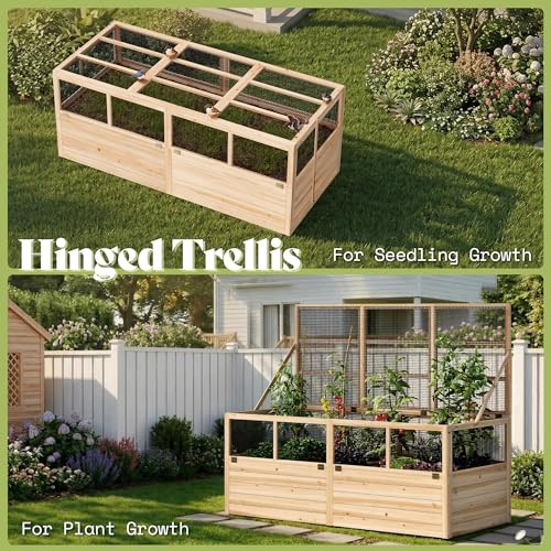 Raised Garden Bed with Fencing and Trellis (6.6x5.6x3 FT)