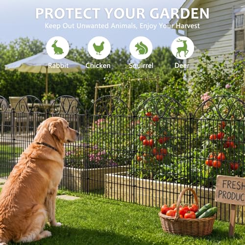 No Dig Garden Fence Outdoor for Yard (48 in(H) X 11.8 ft(L))