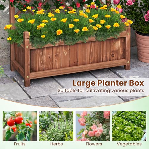 Raised Garden Bed with Trellis (Brown / 28"Lx13"Wx60"H)