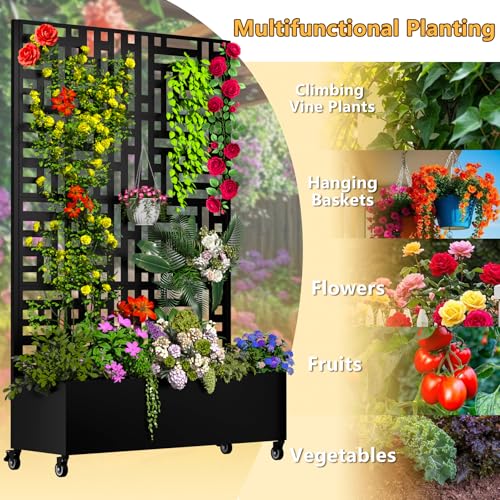 Metal Planter Box with Trellis (Street-Black1 / With Planter Box)