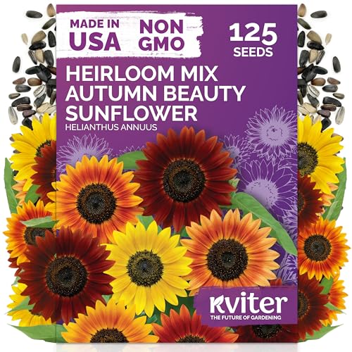 125 Autumn Beauty Mix Sunflower Heirloom Flower Seeds