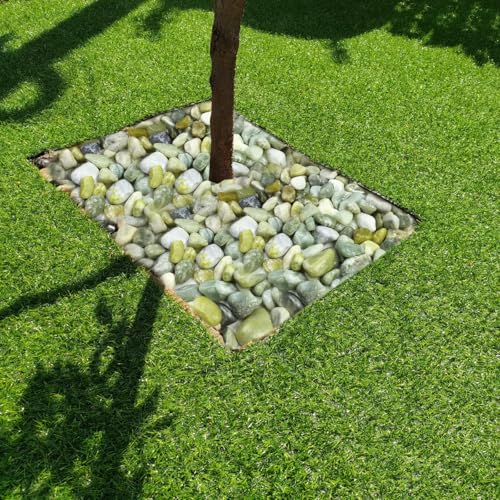 5lbs Jade Pebbles for Indoor Plants