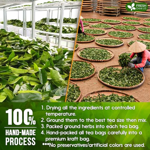 Premium 75 Bags Soursop Green Tea (75 Count)