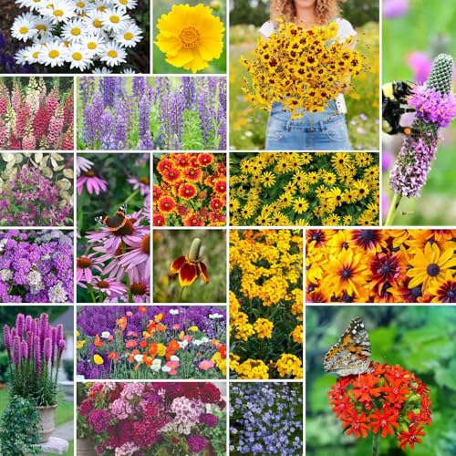 All Perennial Wildflower Mixed Seeds for Planting (800 Ounce)