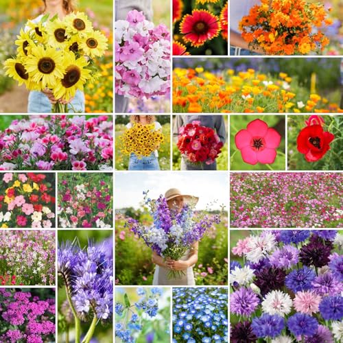 All Annual Wildflower Mixed Seeds for Planting