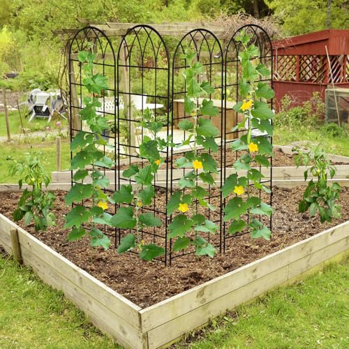 4 Pack Garden Trellis for Climbing Plants (71''H x 20''W/4 Pack / Black)