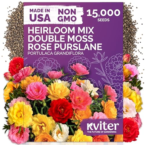 15 000 Mix Moss Rose Heirloom Annual Flower Seeds