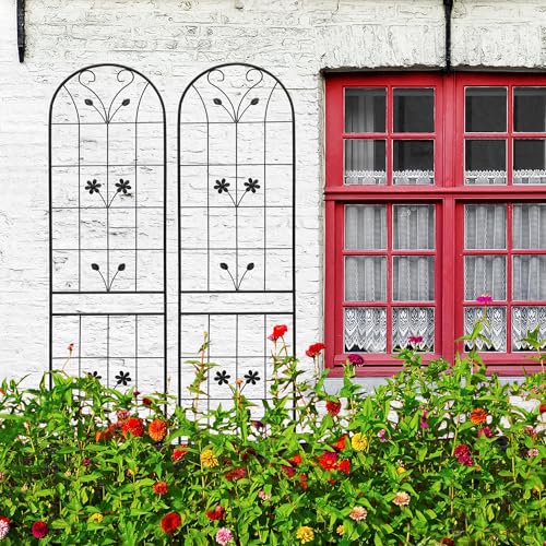 Garden Trellises