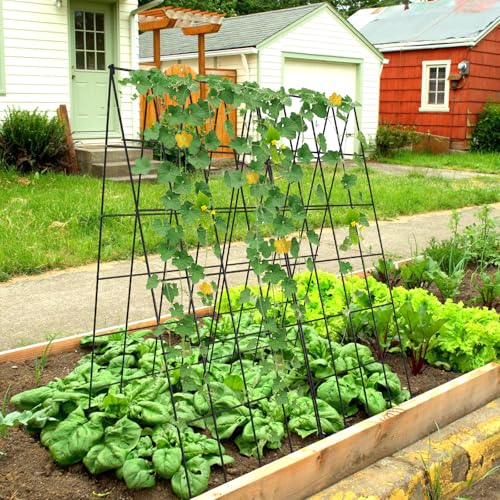 Cucumber Trellis 2 Pack (Steel Black / 39.4" H)