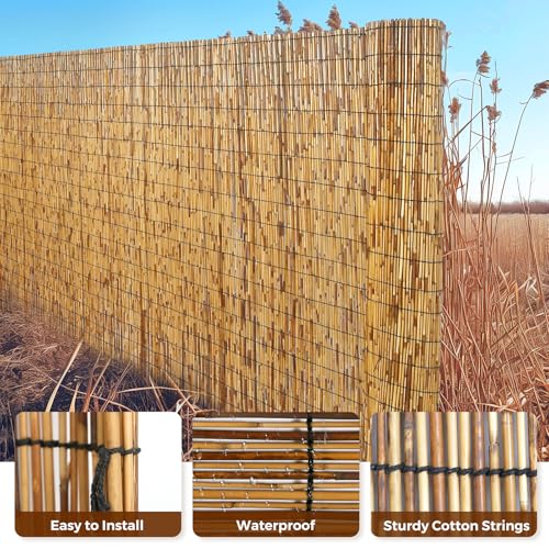 Natural Reed Fence (52.4 sq ft sq ft)