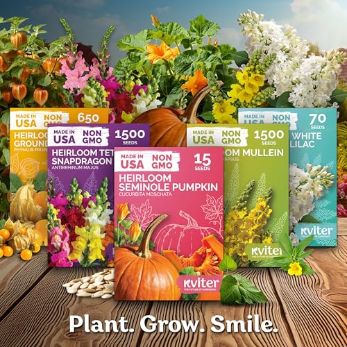 100 Orange Habanero Hot Pepper Heirloom Vegetable Seeds