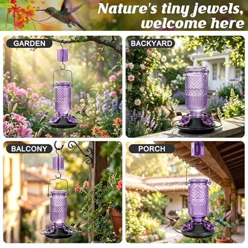 Glass Hummingbird Feeder for Outdoors Hanging (Purple)