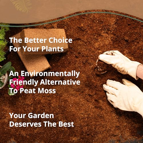 Coco Coir 650gm Bricks (Coco Bliss 650gm (30 Bricks))