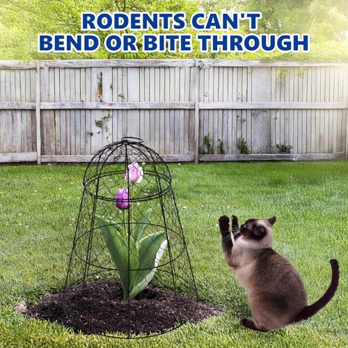 Garden Cloches for Plants (Set of 12)