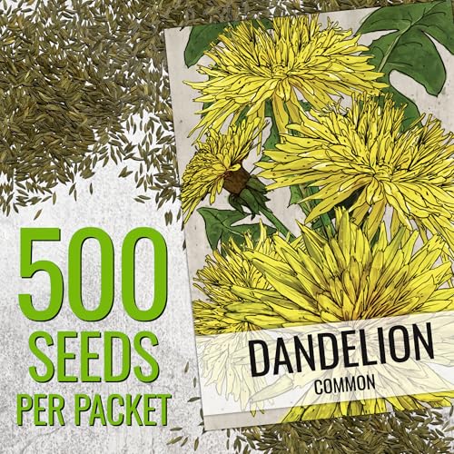 Herb Seeds to Plant Common Dandelion (5 Packs)