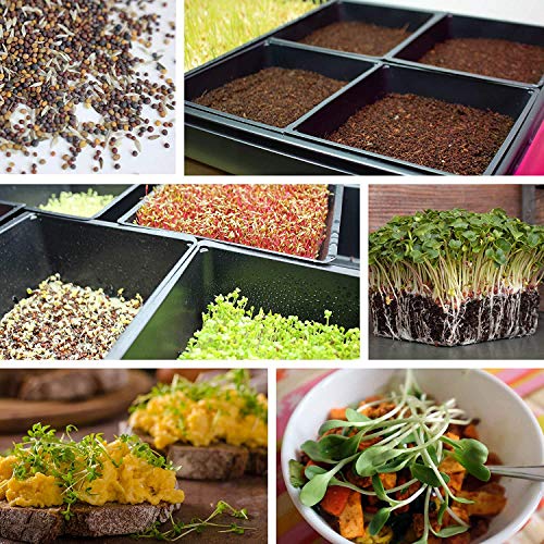10" x 10" Garden Growing Trays with Drain Holes (10 Count)