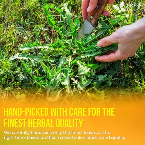 Premium 135 Dandelion Leaves and Roots Tea Bags (135 Tea Bags)