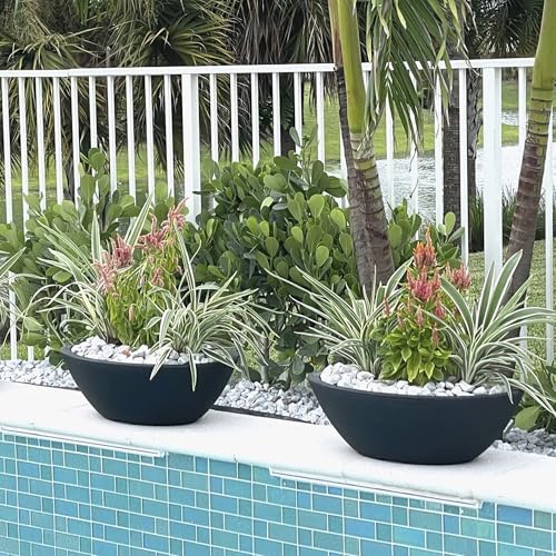 Delano Bowl Planter