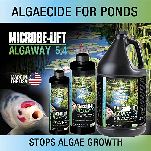 ALGA2.5 Algaway 5.4 Algae Control Treatment for Ponds and Water Gardens (320 Fl Oz)