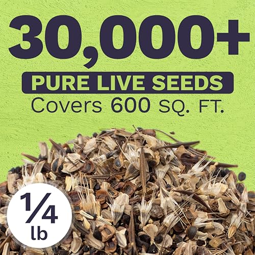Cut Flower Garden Seeds (1/4 Pound Bag)
