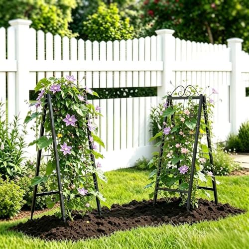 Metal Garden Trellises … (16" x 52.5"H A-Frame 2 Pack)