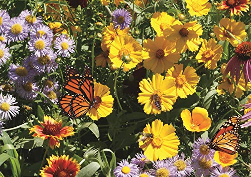 Wildflower Pollinator Mix (2 lb)
