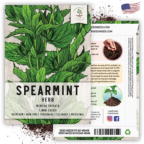Spearmint Seeds to Plant Heirloom Non (2 Packs)